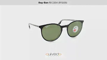Ray-Ban RB 2204 (919/58)