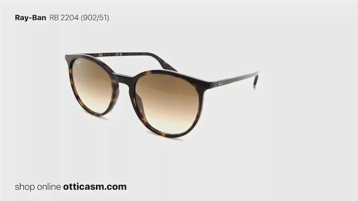 Ray-Ban RB 2204 (902/51)